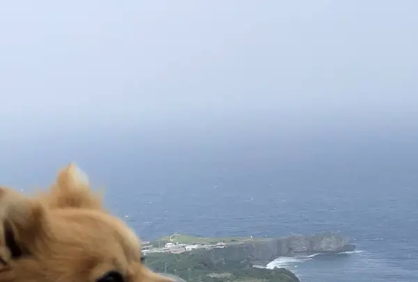 大石林山の写真・動画_image_697737