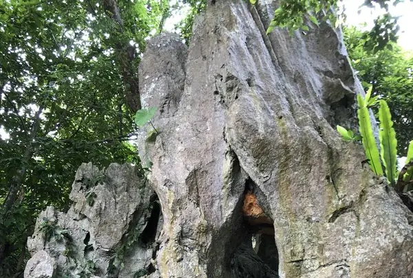 大石林山の写真・動画_image_697741