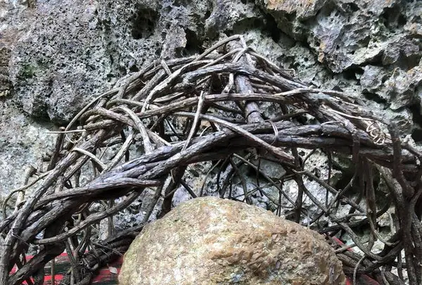 大石林山の写真・動画_image_697742