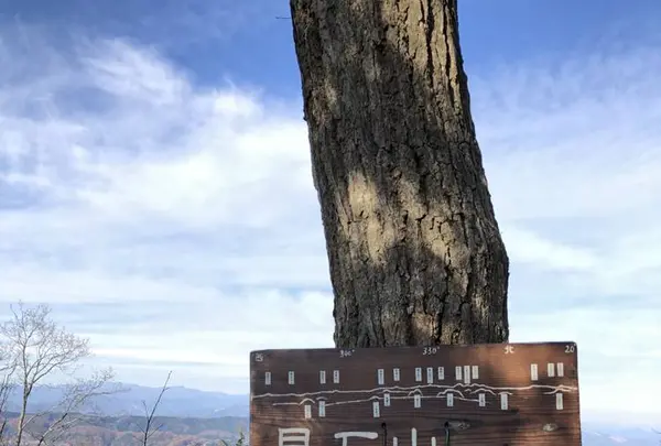 太平山の写真・動画_image_698959