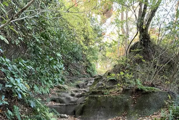 化粧坂切通しの写真・動画_image_698993