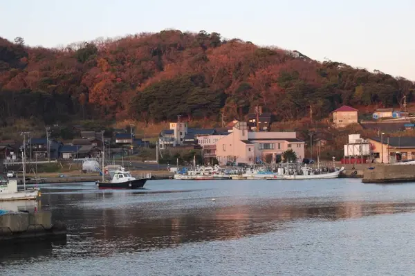 網野町網野の写真・動画_image_699412