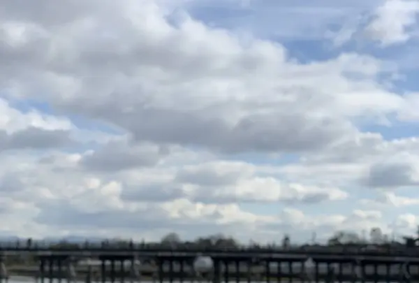 アラビカ 京都 嵐山（% ARABICA Kyoto）の写真・動画_image_699964