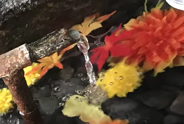 熊野大社の写真・動画_image_700241