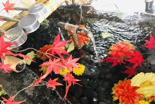 熊野大社の写真・動画_image_700247