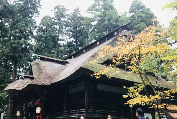 熊野大社の写真・動画_image_700248