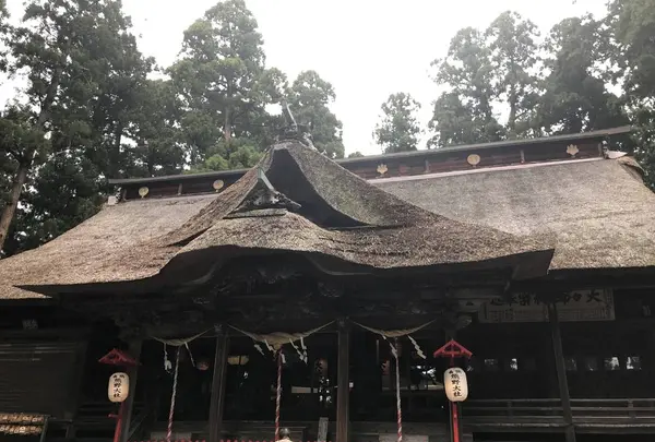 熊野大社の写真・動画_image_700249