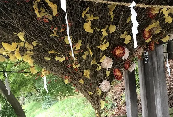 熊野大社の写真・動画_image_700250