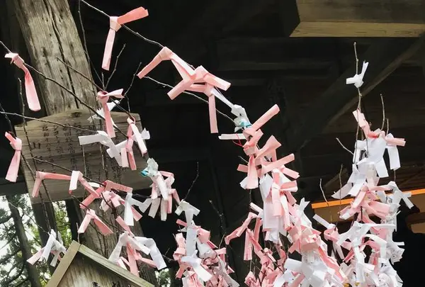 熊野大社の写真・動画_image_700251