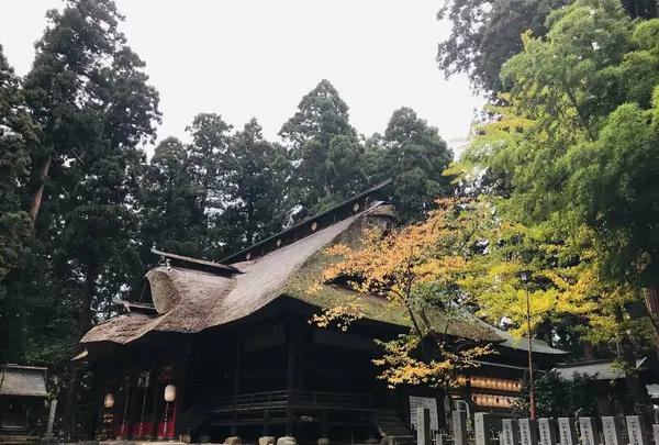 熊野大社の写真・動画_image_700253