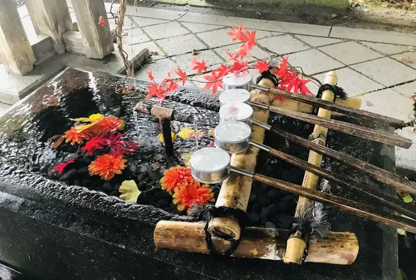 熊野大社の写真・動画_image_700255