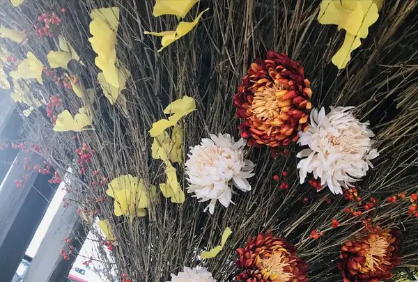 熊野大社の写真・動画_image_700257