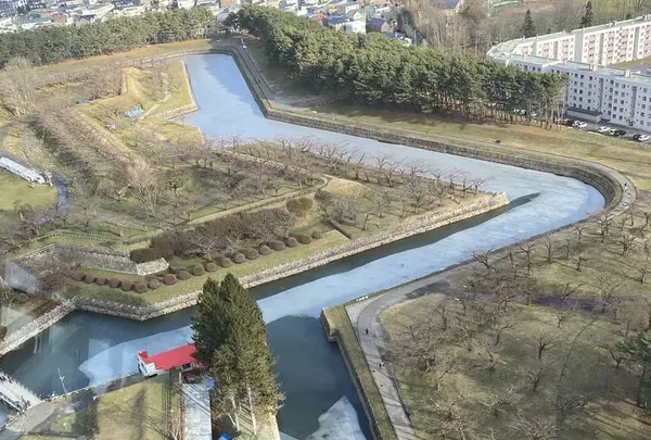 五稜郭公園の写真・動画_image_700839