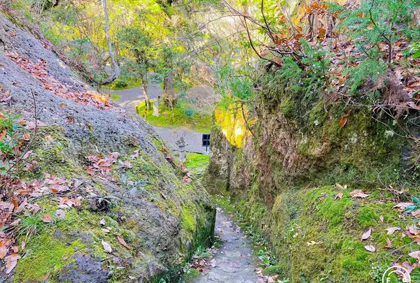 那谷寺の写真・動画_image_700884