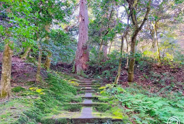 那谷寺の写真・動画_image_700887