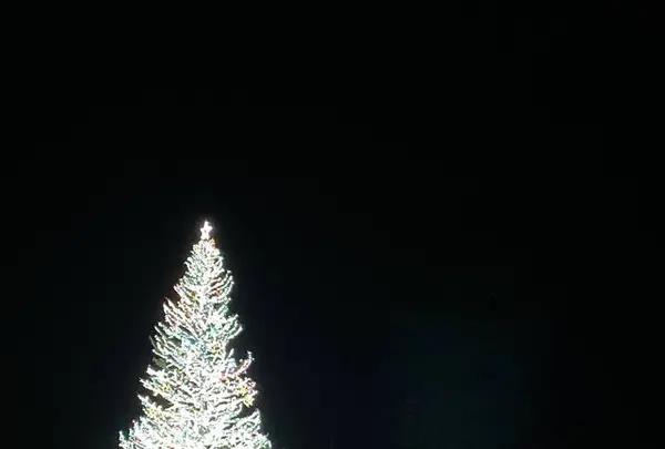 金森赤レンガ倉庫の写真・動画_image_700890