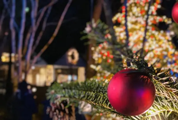 軽井沢高原教会の写真・動画_image_700897