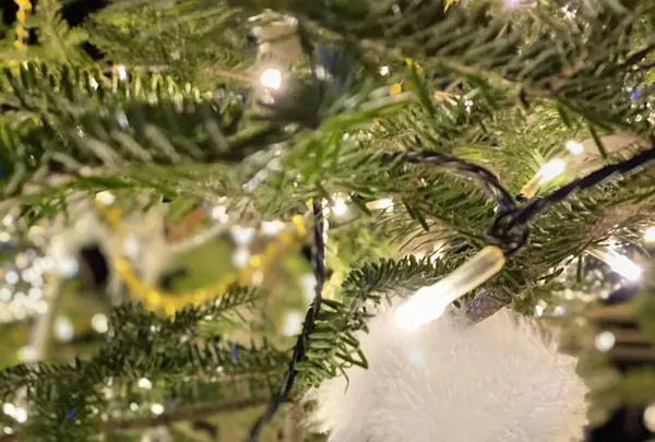 軽井沢高原教会の写真・動画_image_700899