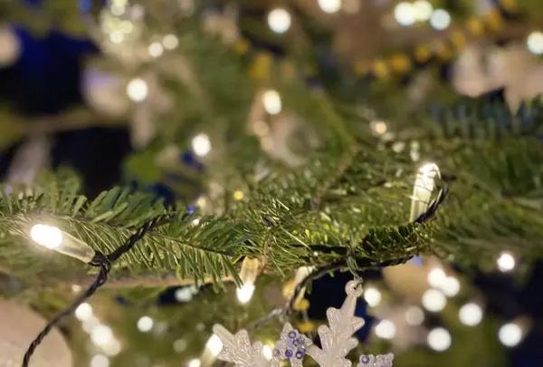 軽井沢高原教会の写真・動画_image_700900