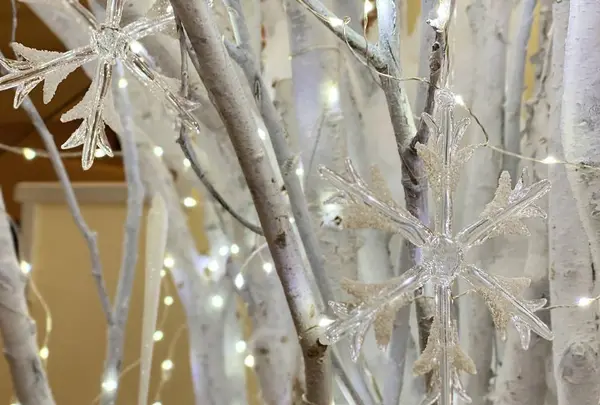 軽井沢高原教会の写真・動画_image_700901