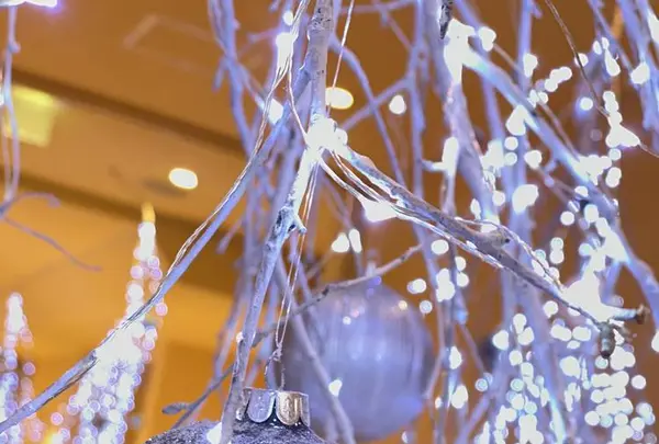 軽井沢高原教会の写真・動画_image_700906