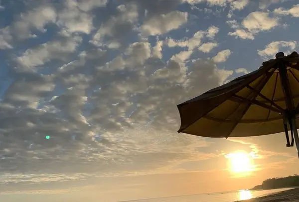 小浜島の写真・動画_image_701569