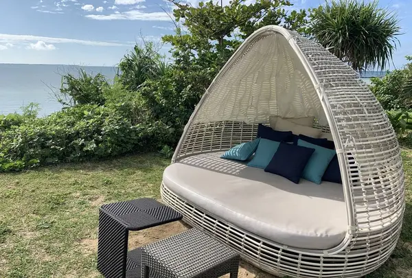 小浜島の写真・動画_image_701572