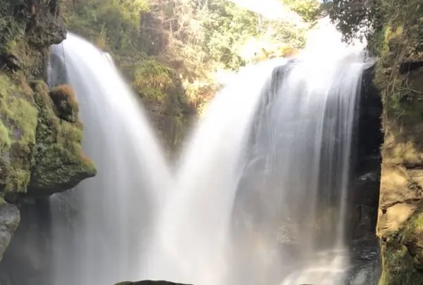 黄牛の滝の写真・動画_image_701585