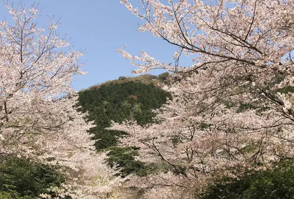 青江ダムの写真・動画_image_701596