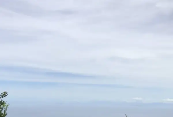 鶴御崎の写真・動画_image_701612