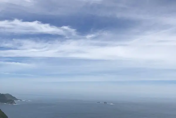 鶴御崎の写真・動画_image_701614