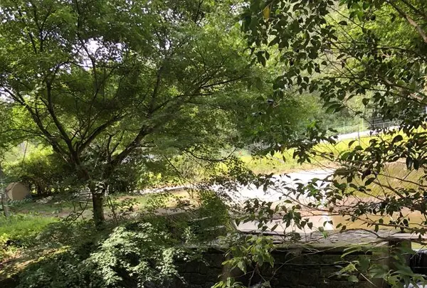 トトロのバス停の写真・動画_image_701625