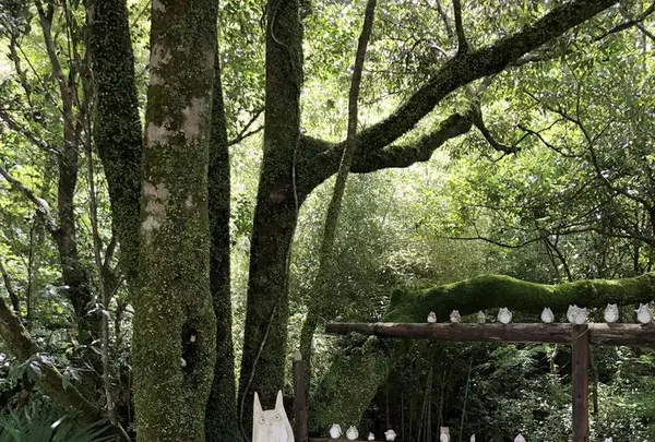 トトロのバス停の写真・動画_image_701626