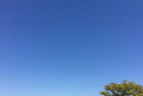 酒田市美術館の写真・動画_image_701819