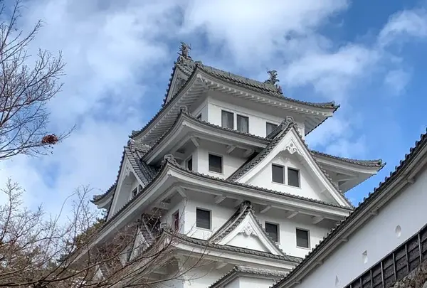 郡上八幡城の写真・動画_image_703721