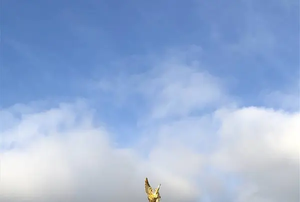 バッキンガム宮殿（Buckingham Palace）の写真・動画_image_703978