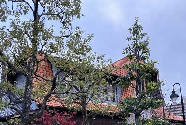 文化のみち二葉館（名古屋市旧川上貞奴邸）の写真・動画_image_704320