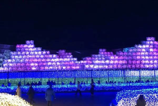 なばなの里の写真・動画_image_704927