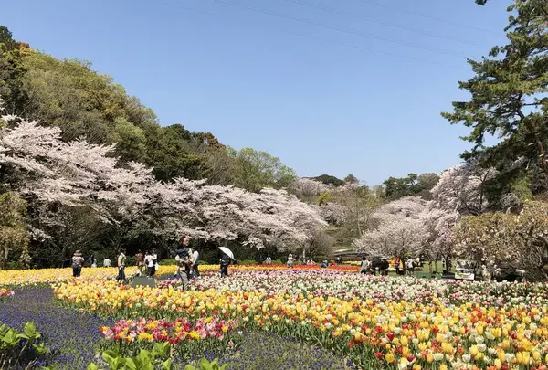 はままつフラワーパークの写真・動画_image_704948
