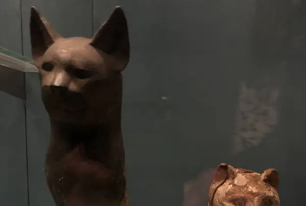 大英博物館（British Museum）の写真・動画_image_705072