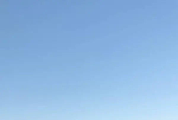 荘内半島オリーブ農園の写真・動画_image_706083