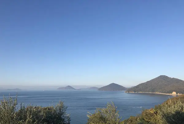 荘内半島オリーブ農園の写真・動画_image_706085