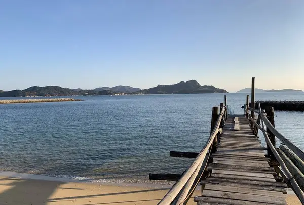 高島の写真・動画_image_706285
