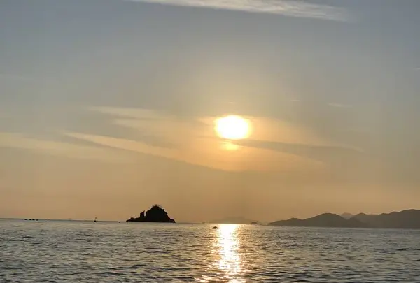高島の写真・動画_image_706286