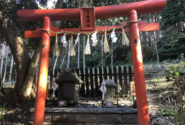 月讀神社の写真・動画_image_706344