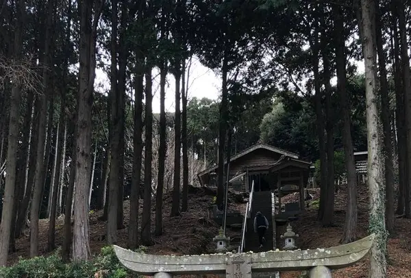 月讀神社の写真・動画_image_706346