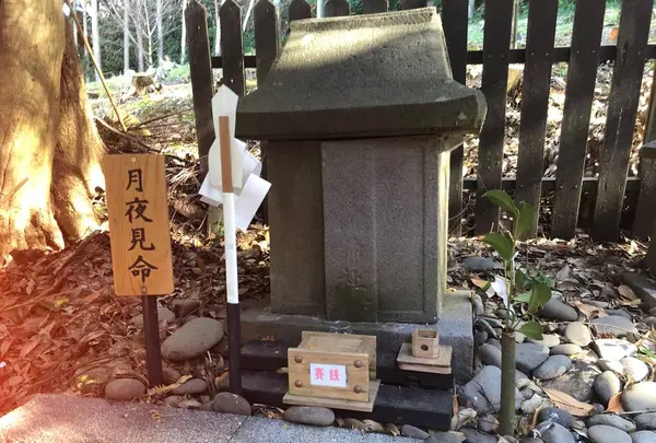 月讀神社の写真・動画_image_706348