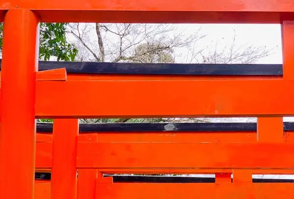 伊奈波神社の写真・動画_image_706430