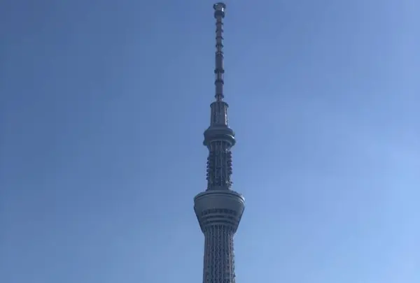 東京スカイツリーの写真・動画_image_707031