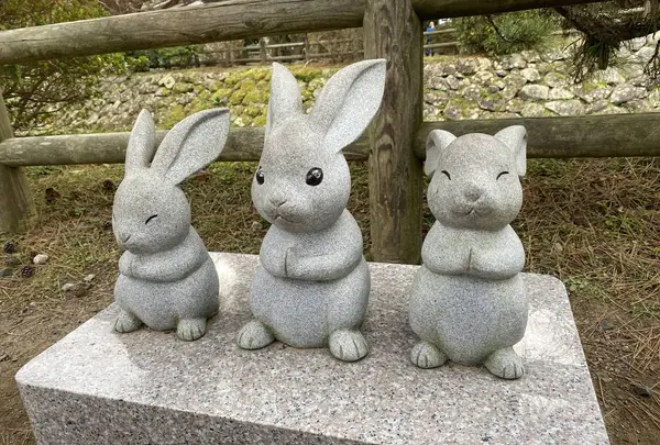 出雲大社の写真・動画_image_707358